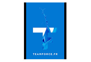 Logo Teamforce